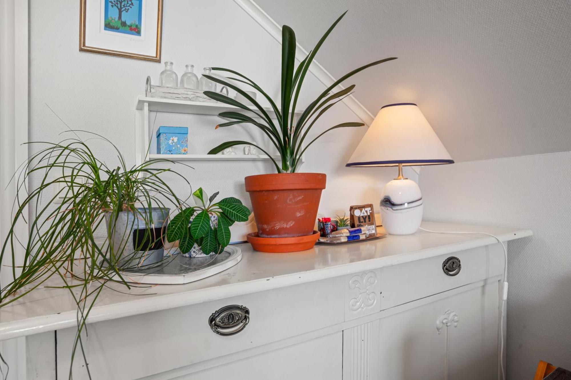 Klara Apartment Санефьор Екстериор снимка