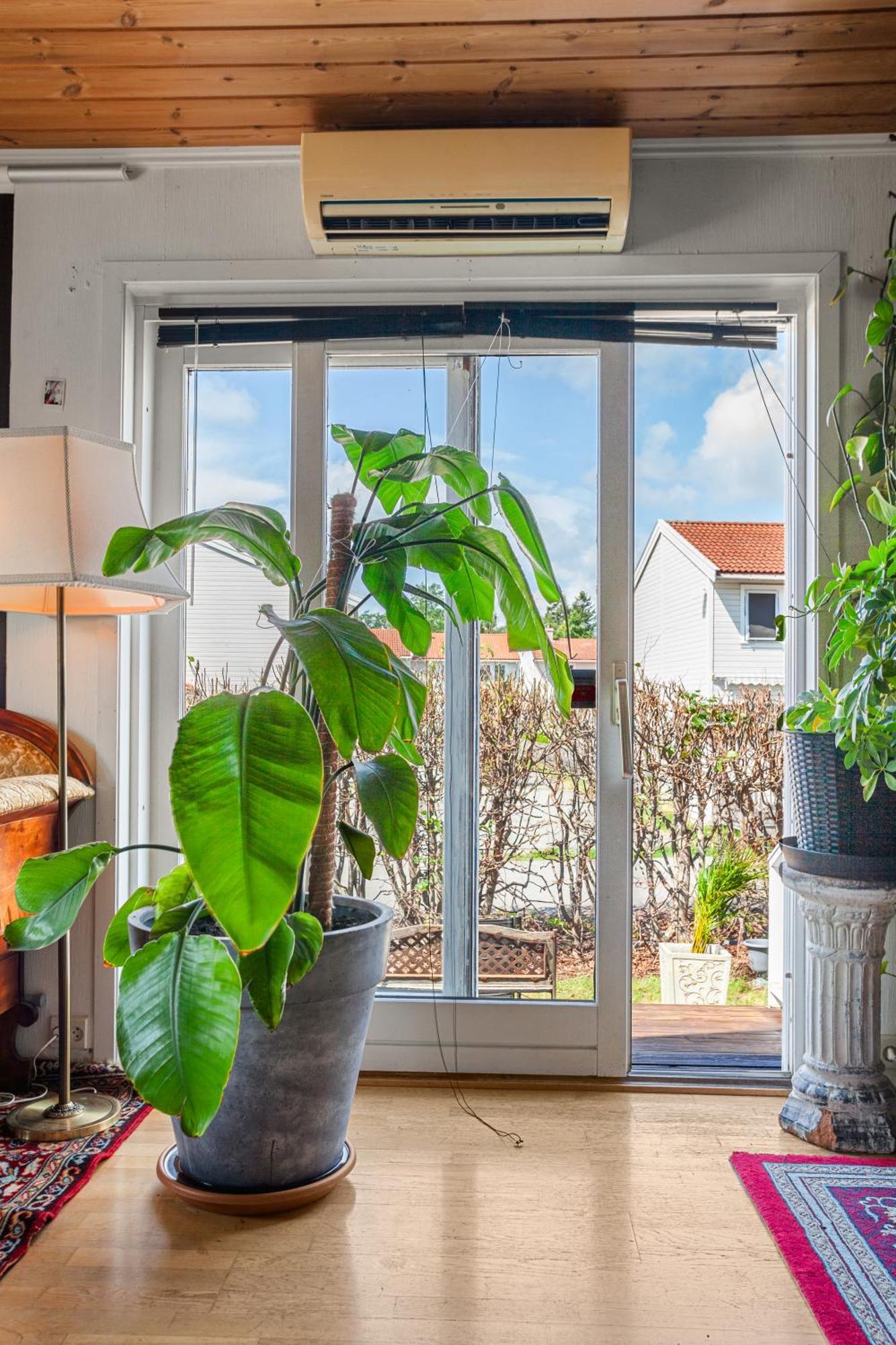 Klara Apartment Санефьор Екстериор снимка